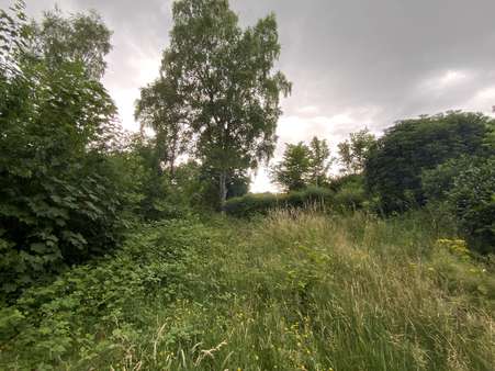 Doppelhaushälfte in 69483 Wald-Michelbach mit 115m² kaufen