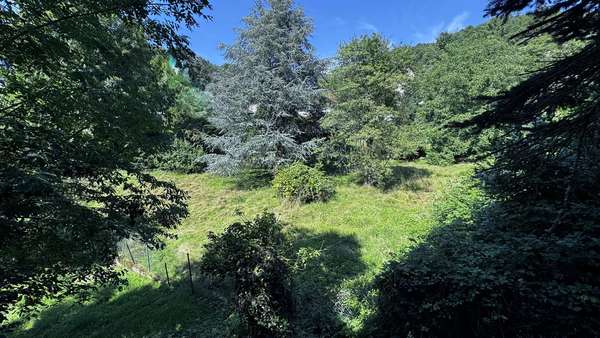Grundstück in 64678 Lindenfels mit 795m² kaufen