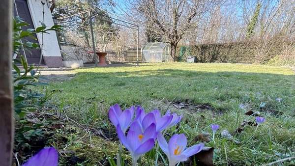 Garten - Doppelhaushälfte in 04328 Leipzig mit 101m² kaufen
