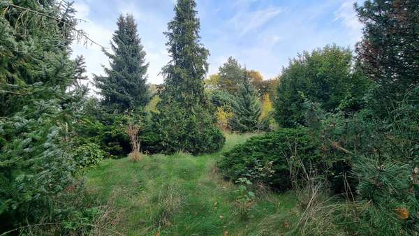 Garten - Einfamilienhaus in 04288 Leipzig mit 170m² kaufen