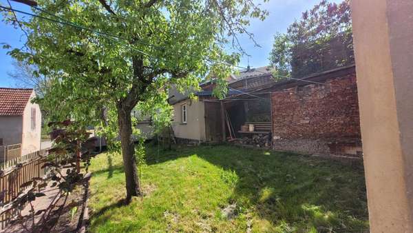 Garten - Einfamilienhaus in 04654 Frohburg mit 93m² kaufen