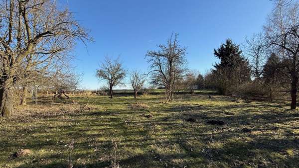 Ansicht Ansicht - Grundstück in 04668 Grimma mit 1919m² kaufen