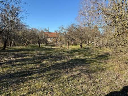 Ansicht Ansicht - Grundstück in 04668 Grimma mit 1919m² kaufen