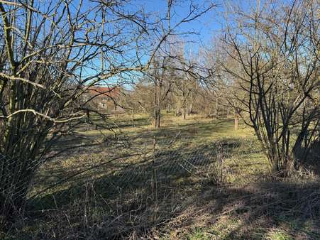 Ansicht Ansicht - Grundstück in 04668 Grimma mit 1919m² kaufen