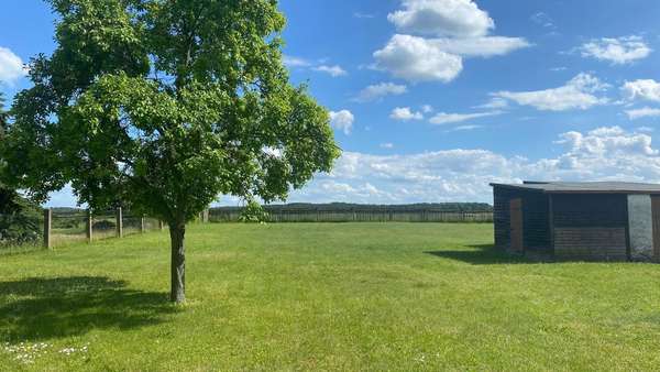 Garten Garten - Doppelhaushälfte in 04838 Doberschütz mit 100m² kaufen