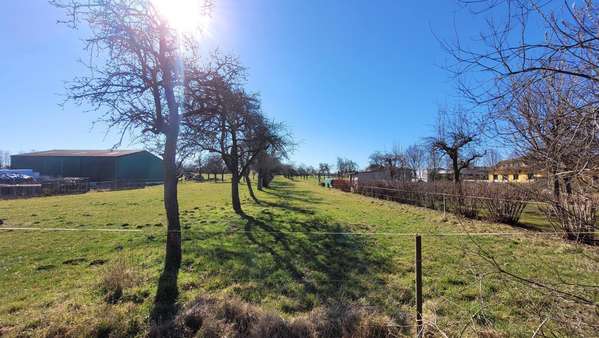 Apfelwiese - Grundstück in 04654 Frohburg mit 6740m² kaufen