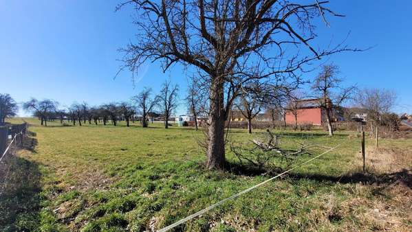 Bauerwartungsland - Grundstück in 04654 Frohburg mit 6740m² kaufen
