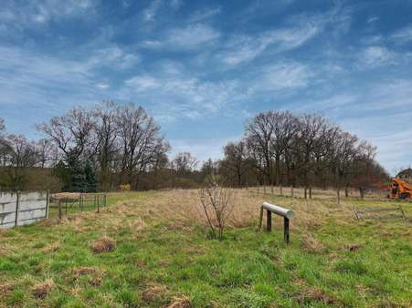 Grundstück - Grundstück in 04849 Bad Düben mit 2355m² kaufen