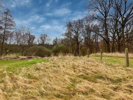 Hinterland - Grundstück in 04849 Bad Düben mit 2355m² kaufen