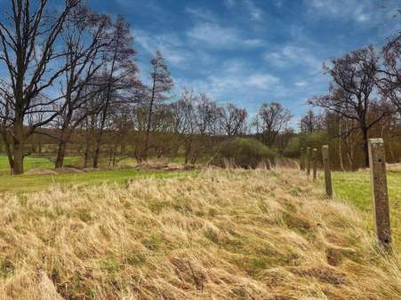 Hinterland - Grundstück in 04849 Bad Düben mit 2355m² kaufen