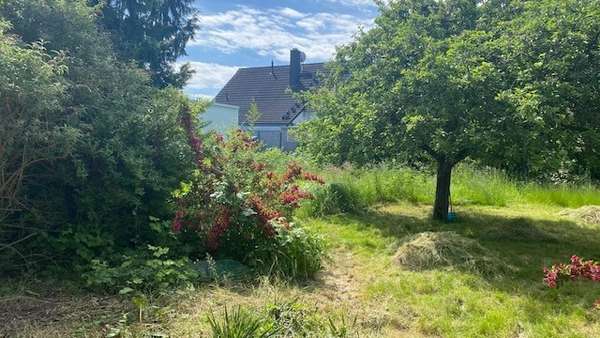 Grundstück - Bungalow in 04288 Leipzig mit 72m² kaufen