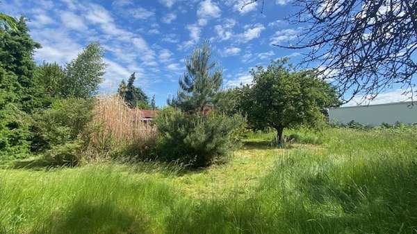 Grundstück - Bungalow in 04288 Leipzig mit 72m² kaufen
