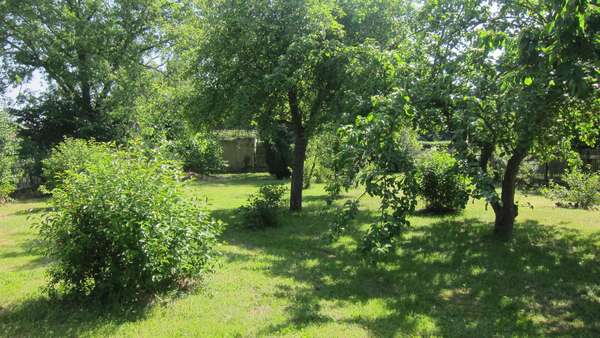 Grundstück - Einfamilienhaus in 04451 Borsdorf mit 110m² kaufen