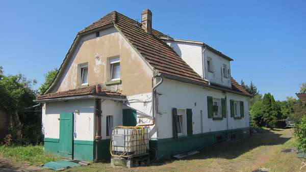 Seitenansicht - Einfamilienhaus in 04451 Borsdorf mit 110m² kaufen
