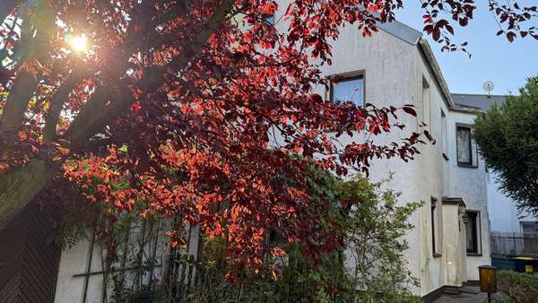 Ansicht Ansicht - Reihenmittelhaus in 04159 Leipzig mit 88m² kaufen