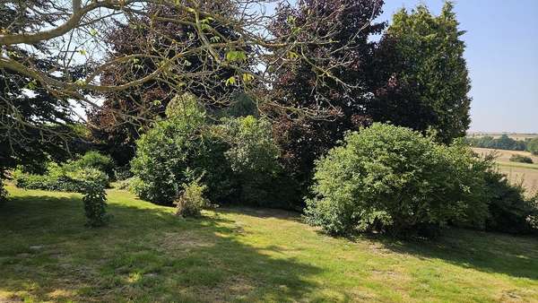 Garten Garten - Einfamilienhaus in 04703 Leisnig mit 142m² kaufen