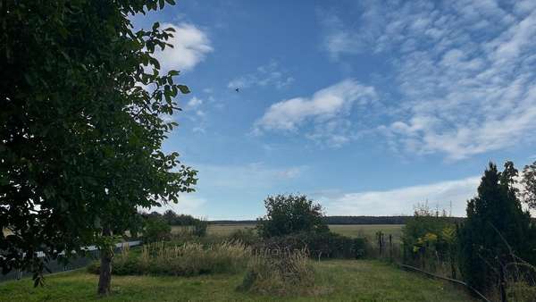 Garten - Doppelhaushälfte in 04886 Beilrode mit 50m² kaufen