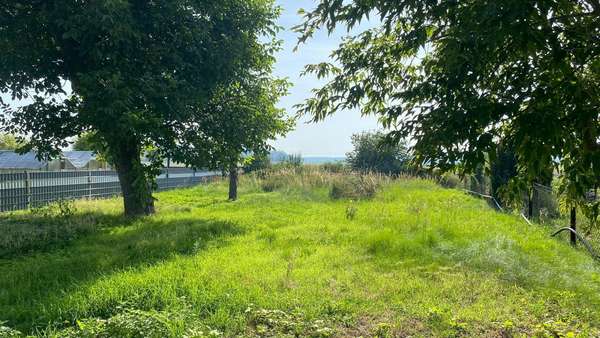 Garten - Doppelhaushälfte in 04886 Beilrode mit 50m² kaufen