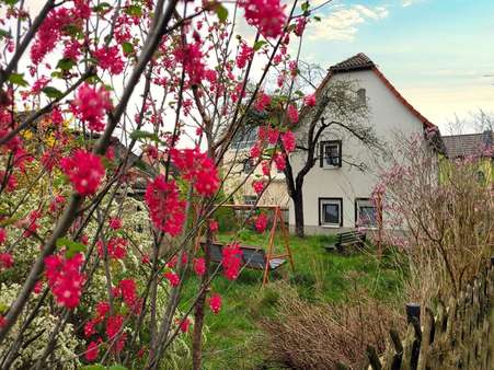 Blick in den Garten - Einfamilienhaus in 04654 Frohburg mit 75m² kaufen