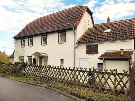 Blick vom Teich - Einfamilienhaus in 04654 Frohburg mit 75m² kaufen