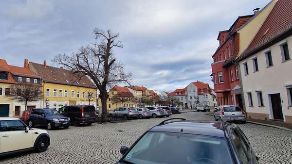 Straßenansicht - Reihenendhaus in 04523 Pegau mit 120m² kaufen