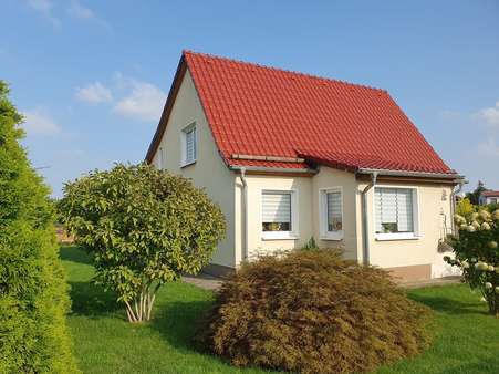 Hausansicht - Einfamilienhaus in 04442 Zwenkau mit 110m² kaufen