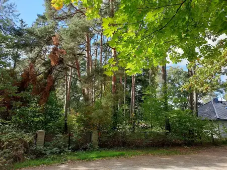 Grundstück in gewachsener Wohnsiedlung 