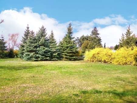 Blick über das Grundstück - Grundstück in 04827 Machern mit 1500m² kaufen