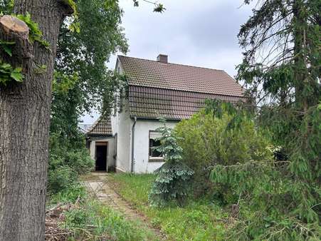 Ansicht - Einfamilienhaus in 04207 Leipzig mit 119m² kaufen