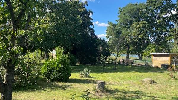 Garten Garten - Einfamilienhaus in 04860 Süptitz mit 190m² kaufen