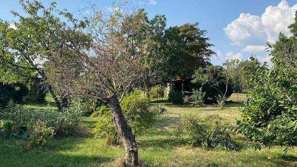 Garten - Zweifamilienhaus in 04860 Süptitz mit 190m² kaufen