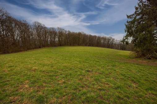 Blick auf das Grundstück - Grundstück in 58644 Iserlohn mit 9508m² kaufen