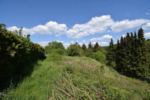 Außenansicht - Grundstück in 58675 Hemer mit 2989m² kaufen