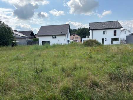 Grundstück Grundstück - Doppelhaushälfte in 33189 Schlangen mit 136m² kaufen