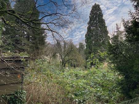 Verwildertes Grundstück - Mehrfamilienhaus in 40764 Langenfeld mit 271m² kaufen
