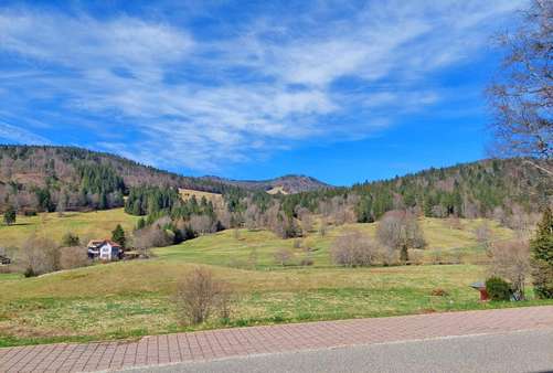 Ausblick - Mehrfamilienhaus in 79837 St. Blasien mit 686m² kaufen