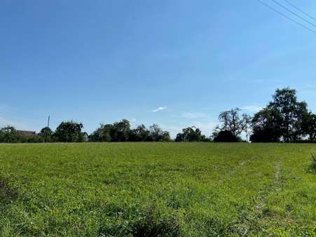 Aussicht vom Garten - Einfamilienhaus in 89182 Bernstadt mit 110m² kaufen
