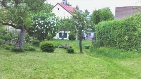 Blick vom Garten zum Haus - Mehrfamilienhaus in 98693 Ilmenau mit 195m² als Kapitalanlage kaufen