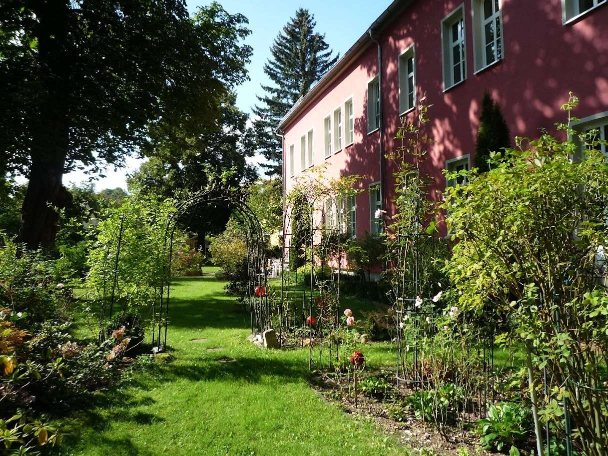 Blick in den sommerlichen Garten