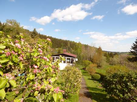 Blick zum Bungalow - Ferienhaus in 98693 Ilmenau mit 45m² kaufen