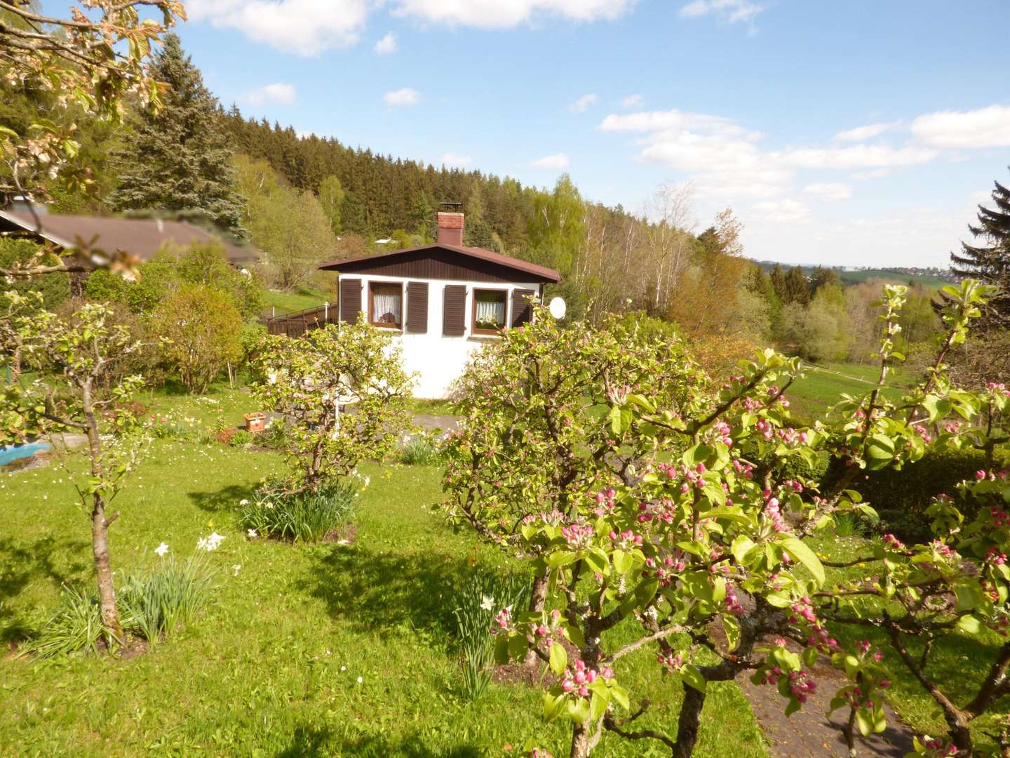 Blick zum Bungalow - Ferienhaus in 98693 Ilmenau mit 45m² kaufen