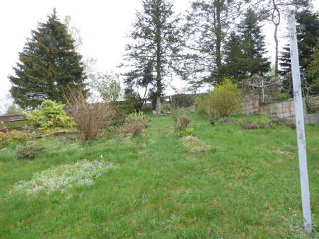 Blick in den Garten - Einfamilienhaus in 98694 Ilmenau mit 150m² kaufen