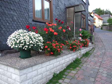 Weg zum Hauseingang Weg zum Hauseingang - Einfamilienhaus in 98694 Ilmenau mit 150m² kaufen