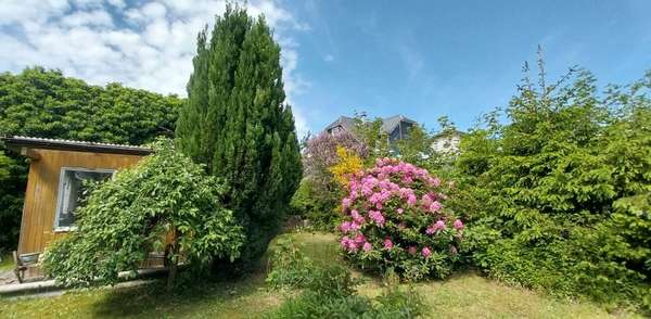 Blick in den Garten - Einfamilienhaus in 98701 Großbreitenbach mit 145m² kaufen