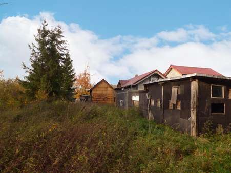 Blick vom Grundstück zum Nebengelass und Haus Blick vom Grundstück zum Nebengelass und Haus - Bauernhaus in 98694 Ilmenau mit 100m² kaufen