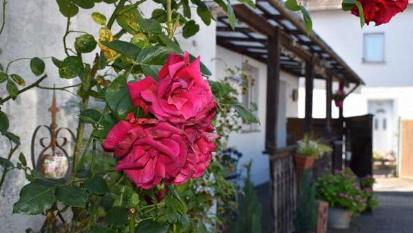 Details Details - Einfamilienhaus in 65614 Beselich mit 112m² kaufen