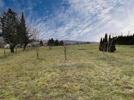 Großzügiger Garten - Einfamilienhaus in 36381 Schlüchtern mit 170m² kaufen