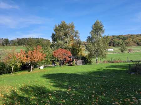 Gartenanlage mit weitem Blick über das Grundstück - Einfamilienhaus in 61389 Schmitten mit 245m² kaufen