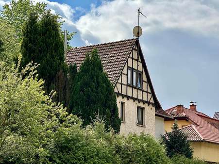 Seitenansicht - Zweifamilienhaus in 99848 Wutha-Farnroda mit 230m² kaufen