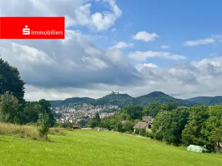 Einfamilienhaus mit großem Grundstück - Wartburg-Blick inklusive!